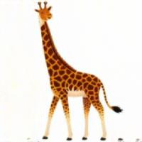 Test333